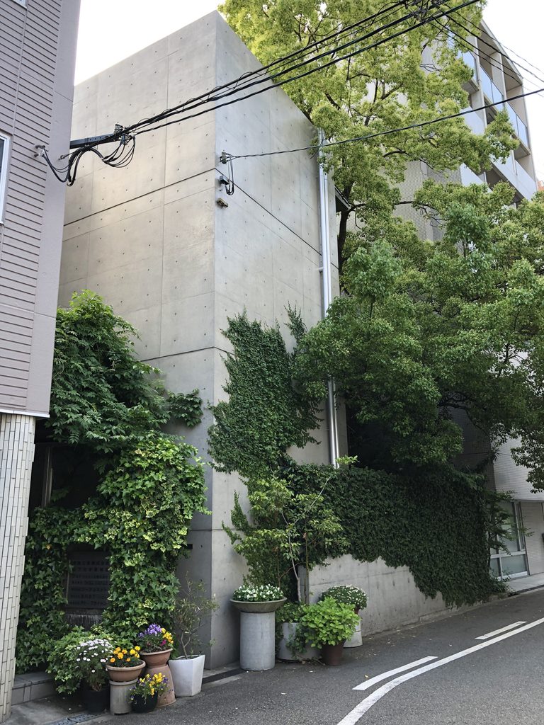 緑の奥から立ち上がる打放しコンクリートのヴォリューム / Exposed-concrete volumes rising behind the greenery