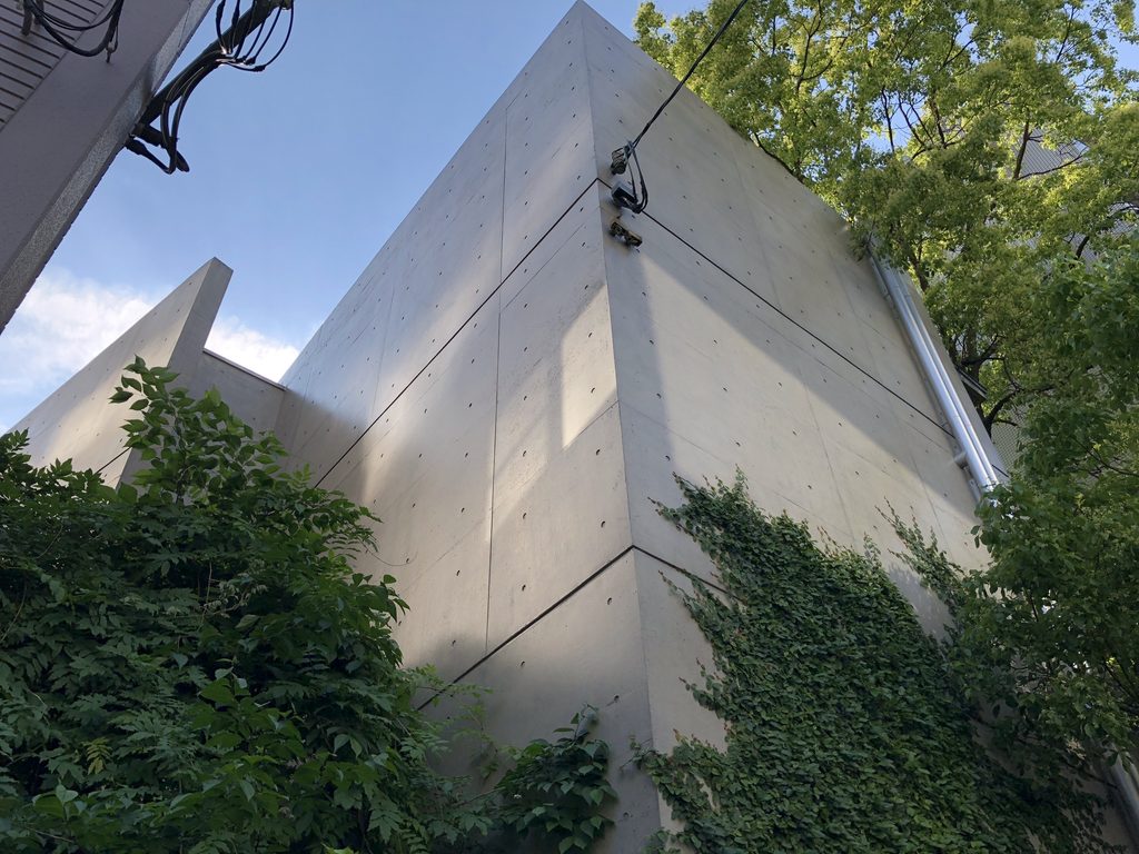 樹木の枝越しに見える打放しコンクリート壁の輪郭 / Outline of the exposed-concrete wall seen through tree branches