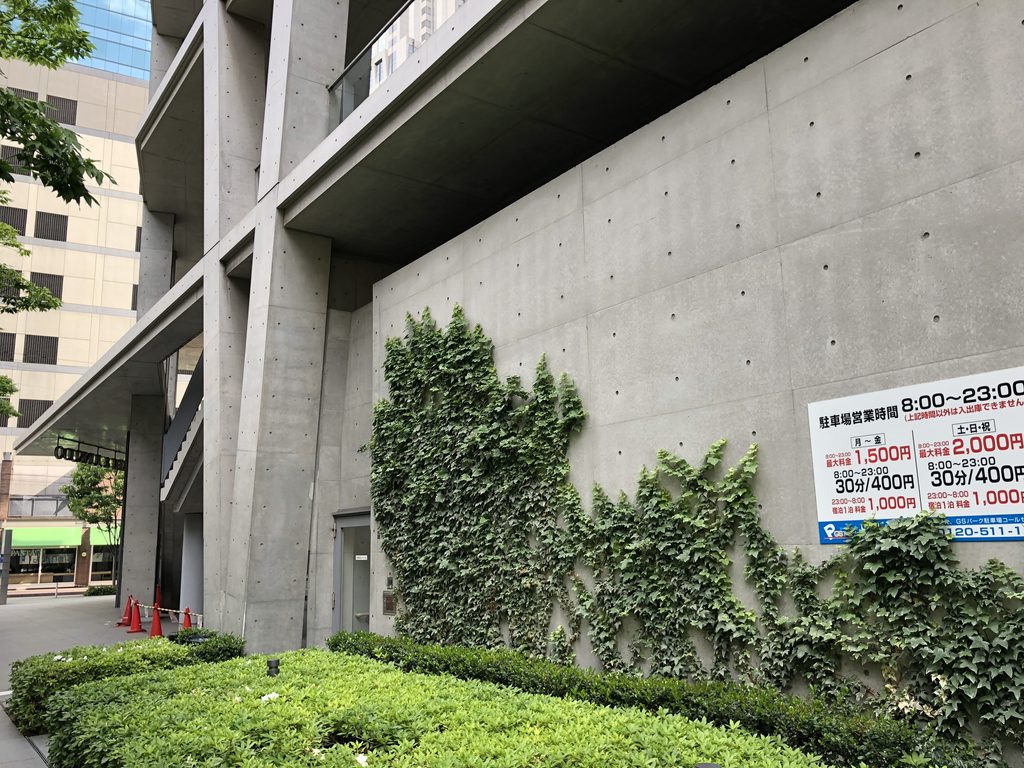 蔦が這う道路側の大きな打放しコンクリート壁 / Broad street-facing exposed-concrete wall with climbing ivy