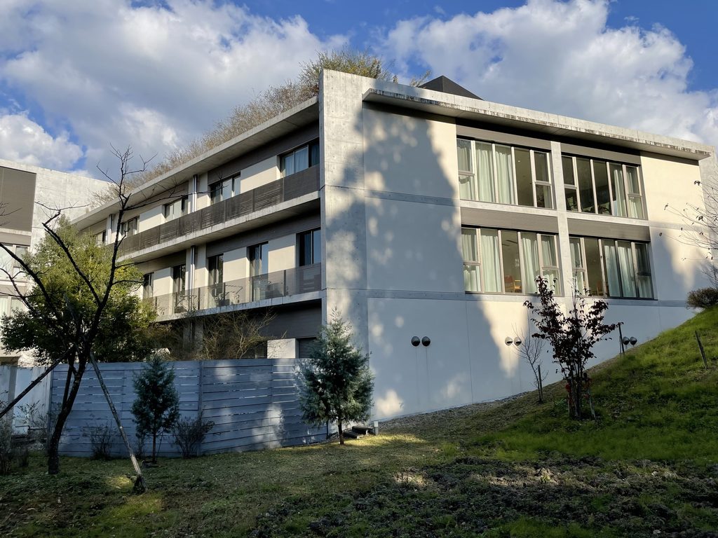 大きな端部壁と連続するバルコニーを持つハートウィング / Large end wall and continuous balconies of HEART WING