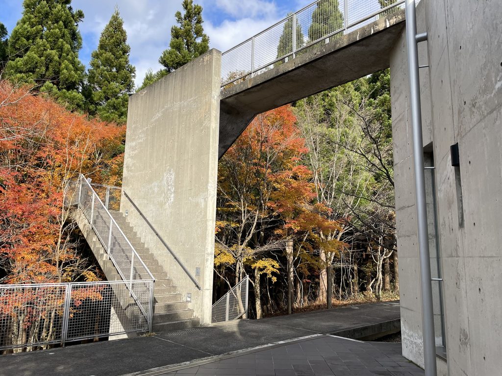 森とコンクリート壁の間を渡る木の殿堂の連絡動線 / Elevated circulation between concrete walls and forest at the Museum of Wood