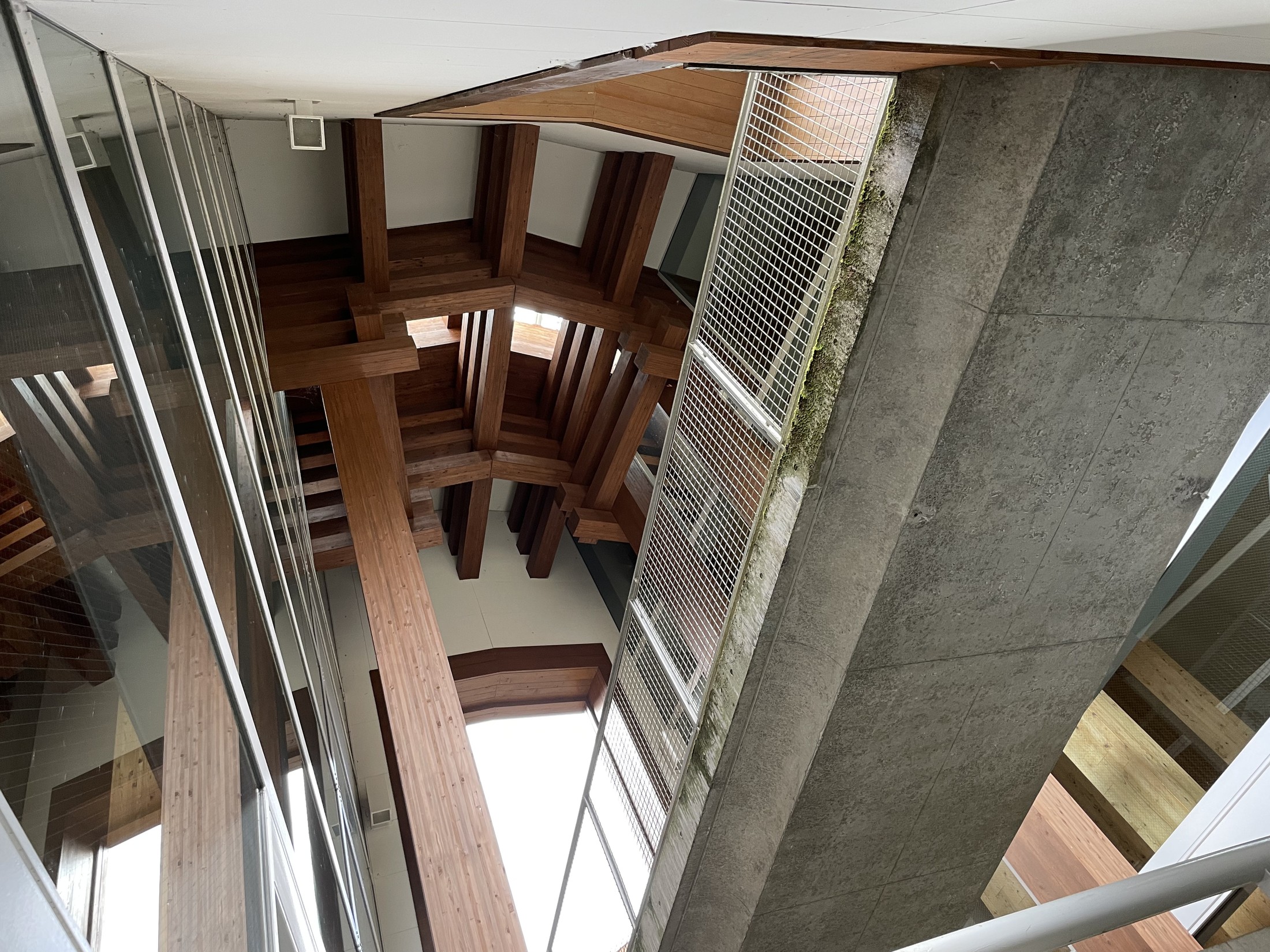 集成材と打放しコンクリートが交差する木の殿堂内部 / Intersection of laminated timber and exposed concrete inside the Museum of Wood