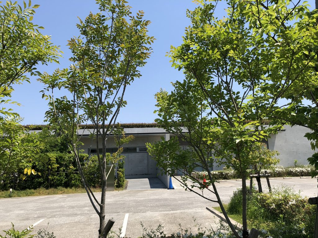 植栽に囲まれた老木レディスクリニック2の入口周辺 / Entrance area of Oiki Ladies Clinic 2 surrounded by planting