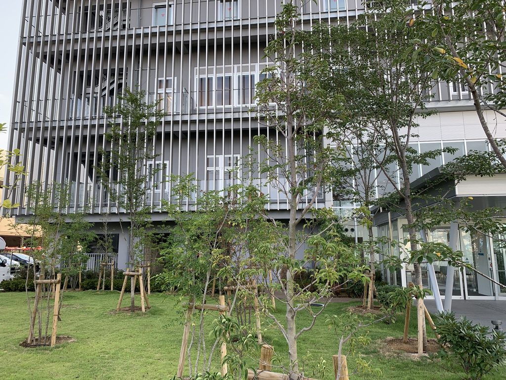 樹木の間から見上げる堺平成病院のルーバー外観 / Louvered exterior of Sakai Heisei Hospital viewed upward through trees