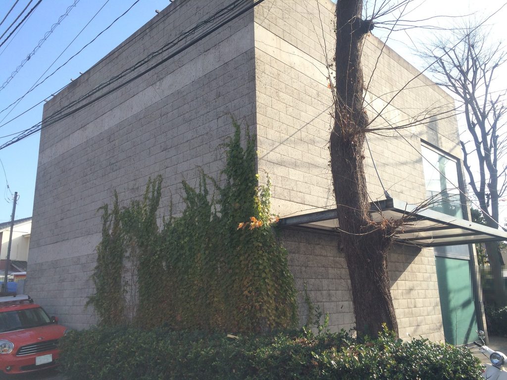 蔦が広がる旧SUPER POTATO本社のコンクリートブロック壁 / Ivy spreading across the concrete-block wall of the former SUPER POTATO headquarters