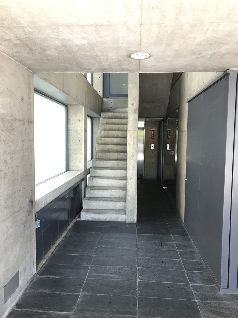TSビル内部の打放しコンクリート階段と濃色の床が続く共用通路 / Shared passage and exposed-concrete stair inside TS Building