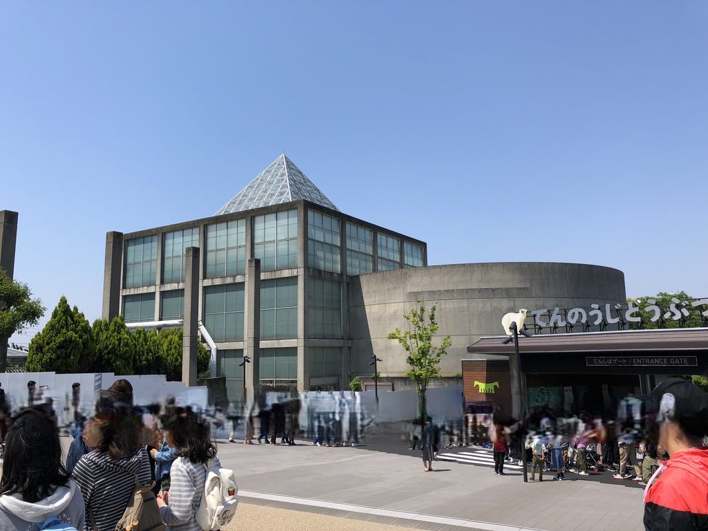 ガラスの矩形棟と円筒形コンクリート棟が並ぶ天王寺博覧会テーマ館 / Glazed rectangular volume and cylindrical concrete volume of the Main Pavilion for the Tennoji Fair
