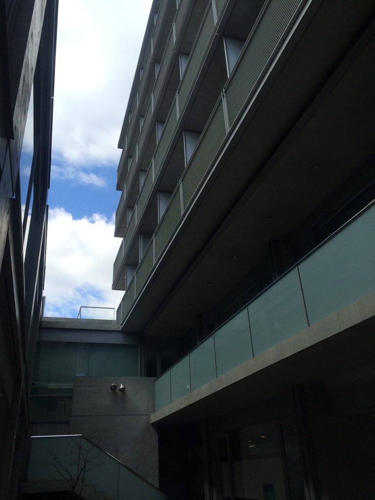回廊の間から空を見上げるTHE QOLの吹抜け / View of the sky through the open circulation space at THE QOL
